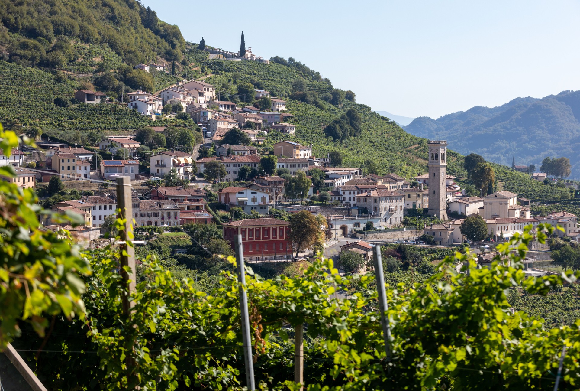 Picturesque hills with vineyards of the Prosecco sparkling wine region between Valdobbiadene and Conegliano; Italy.